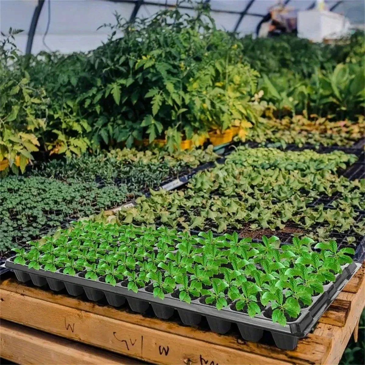 10Pcs Nursery Tray 128 Cell Greenhouse Germination Growth Tray Garden Lightweight Ventilated Nursery Pot Planting Seedling Tray