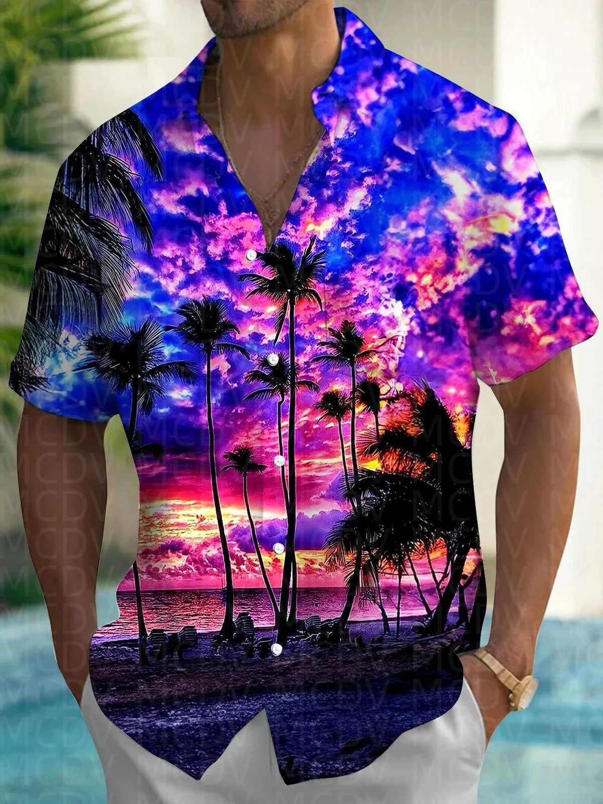 Hawaiiaans overhemd voor heren - Shirt Camp Collar recensie en prijs