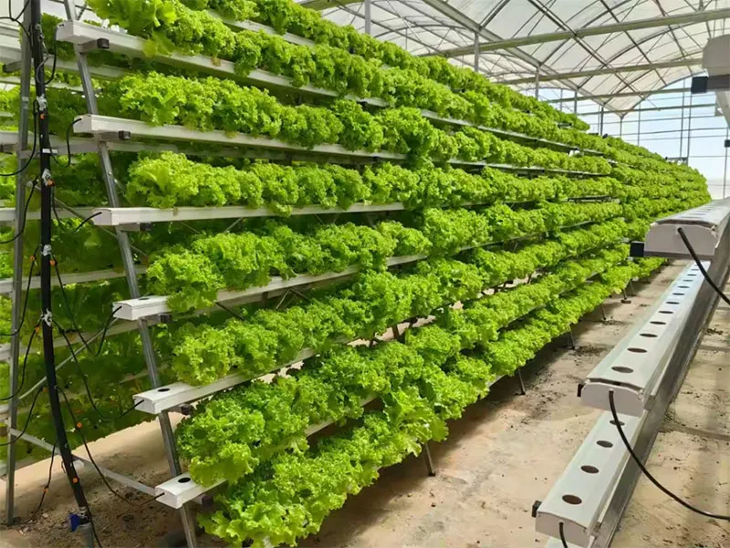 Family Hydroponics NFT 10X10 Automatic Pump High Quality Greenhouse Round PVC Pipe System