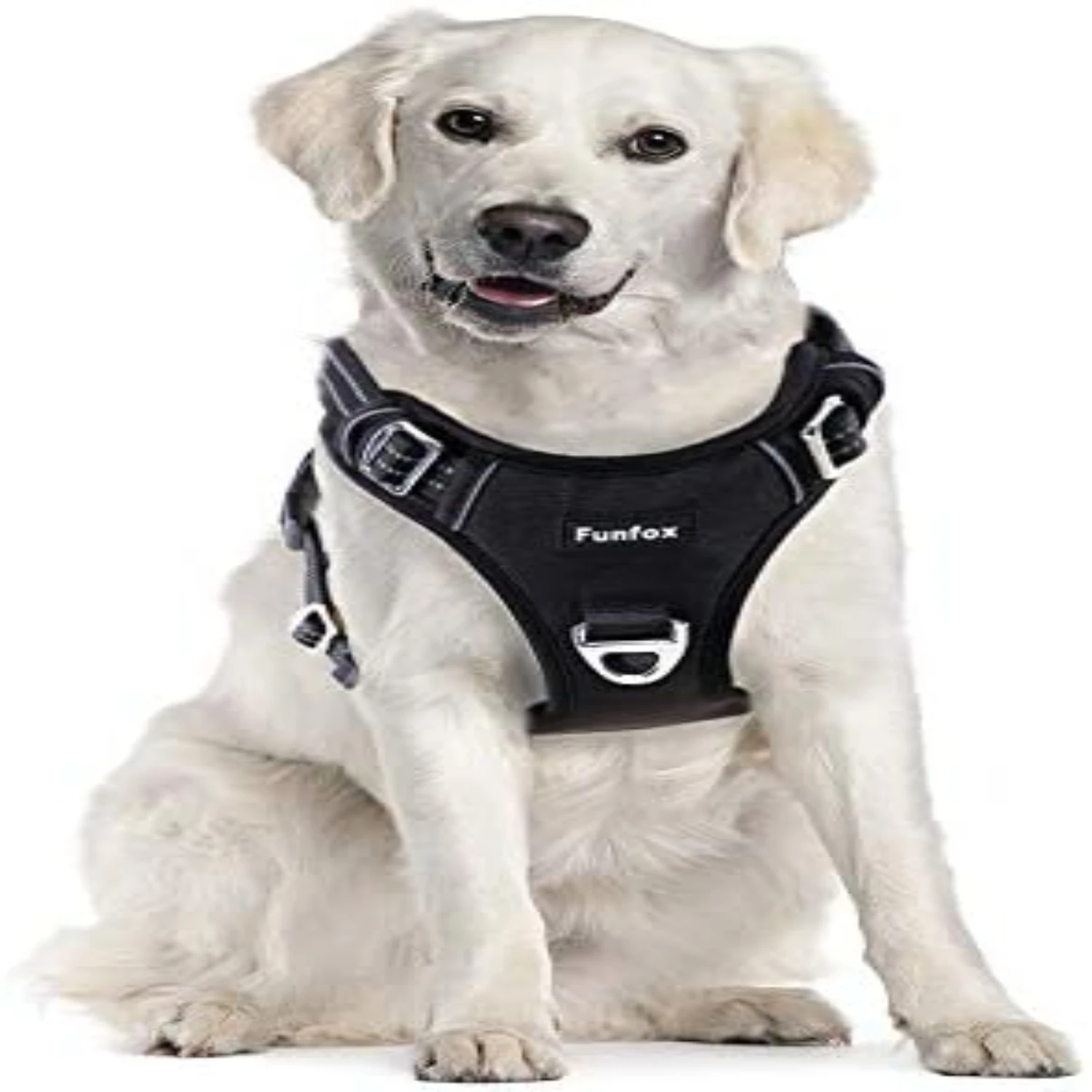 Stylish and comfortable adjustable harness for your furry companion, perfect for daily walks and outdoor adventures. An essentia