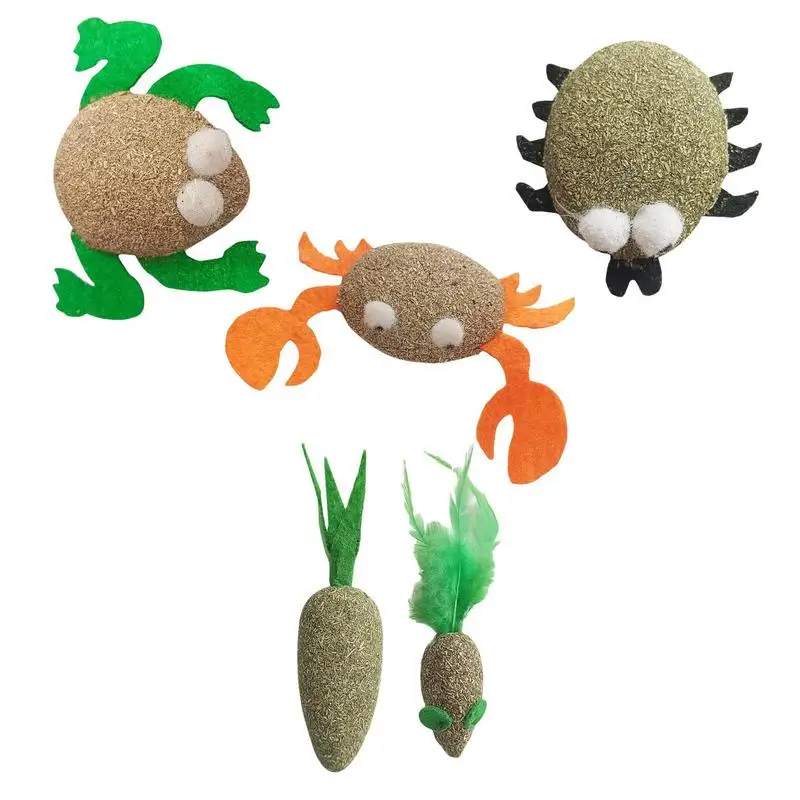 Catnip para brinquedos do gato brinquedos do gato com catnip brinquedos do gato gatinho brinquedos sortments desenhos animados estilo segurança comestível saudável catnip brinquedo do animal de estimação