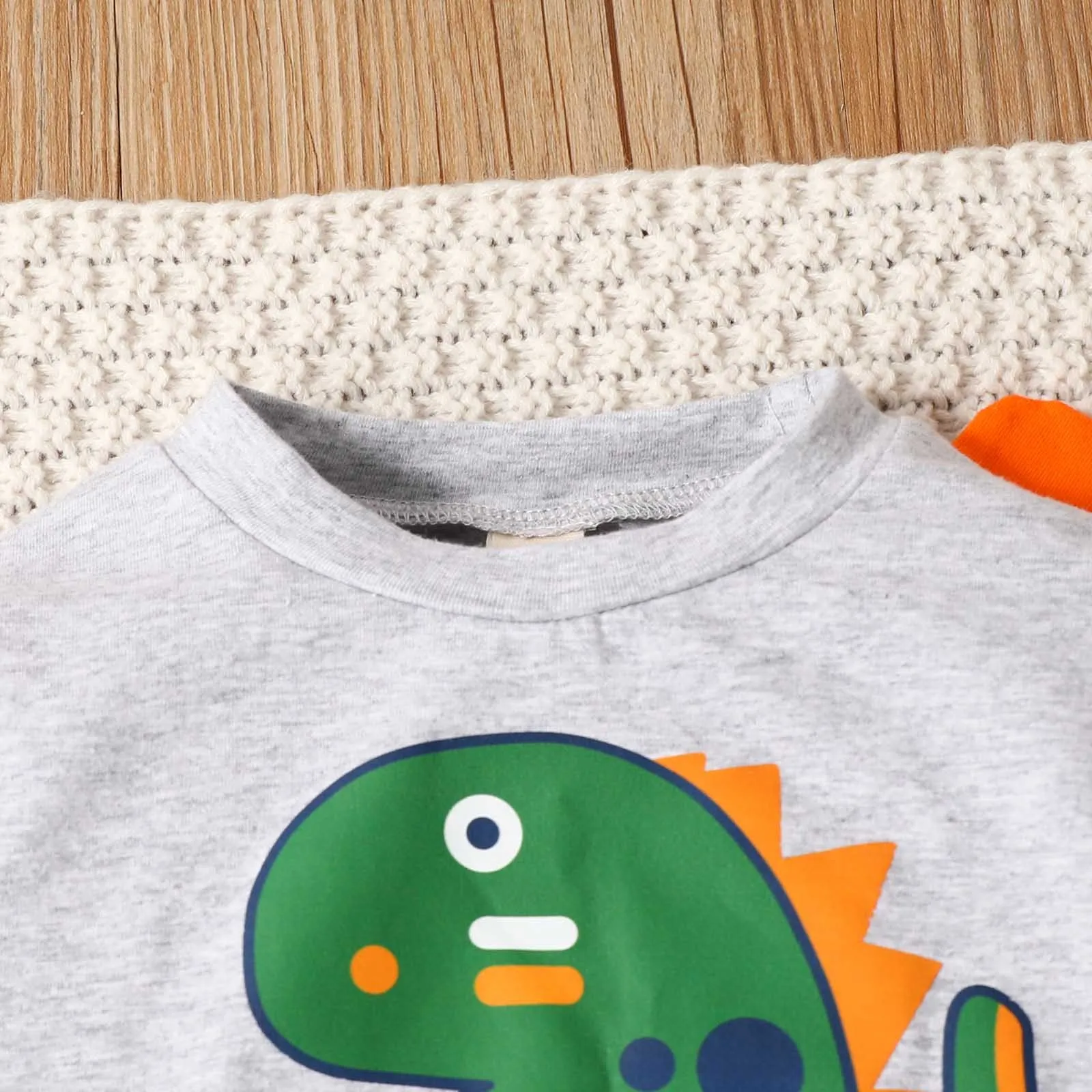 2Pcs Infant Baby Boys Clothes Sets Cartoon Dinosaur Print Long Sleeve Pullovers+Pants Sets Two Piece Outfits 3 6 12 24 Months