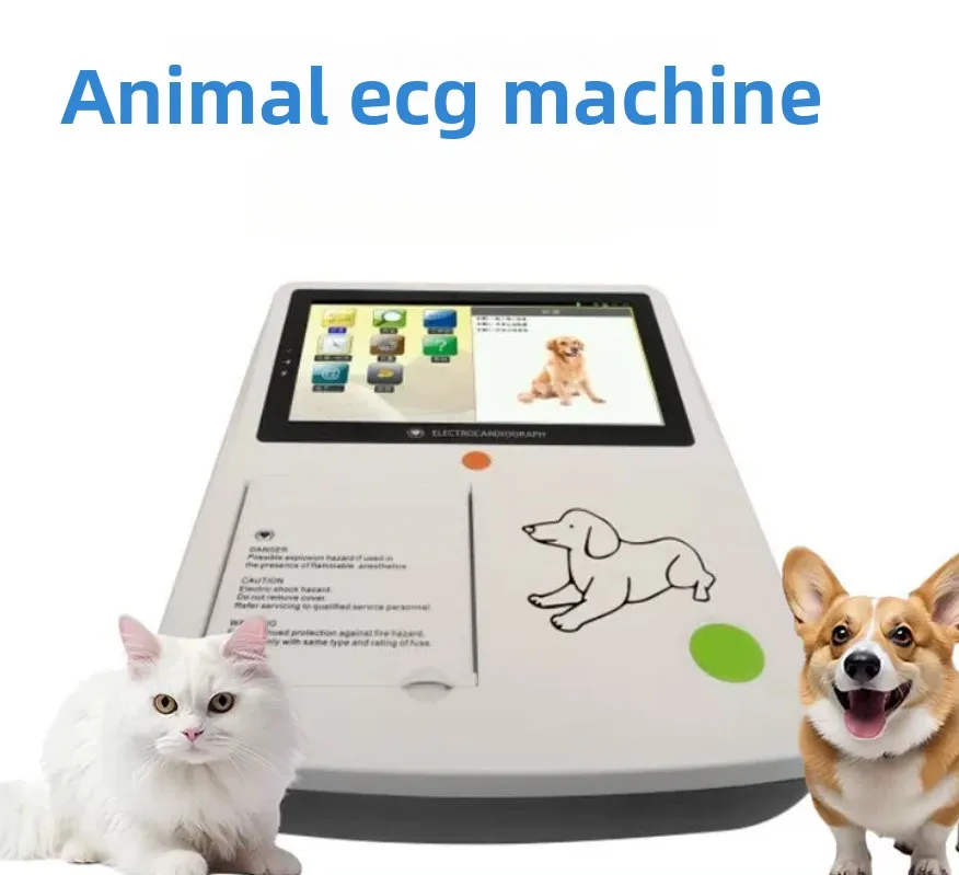Veterinary electrocardiogram machine Laboratory research dedicated high definition large screen electrocardiogram machine