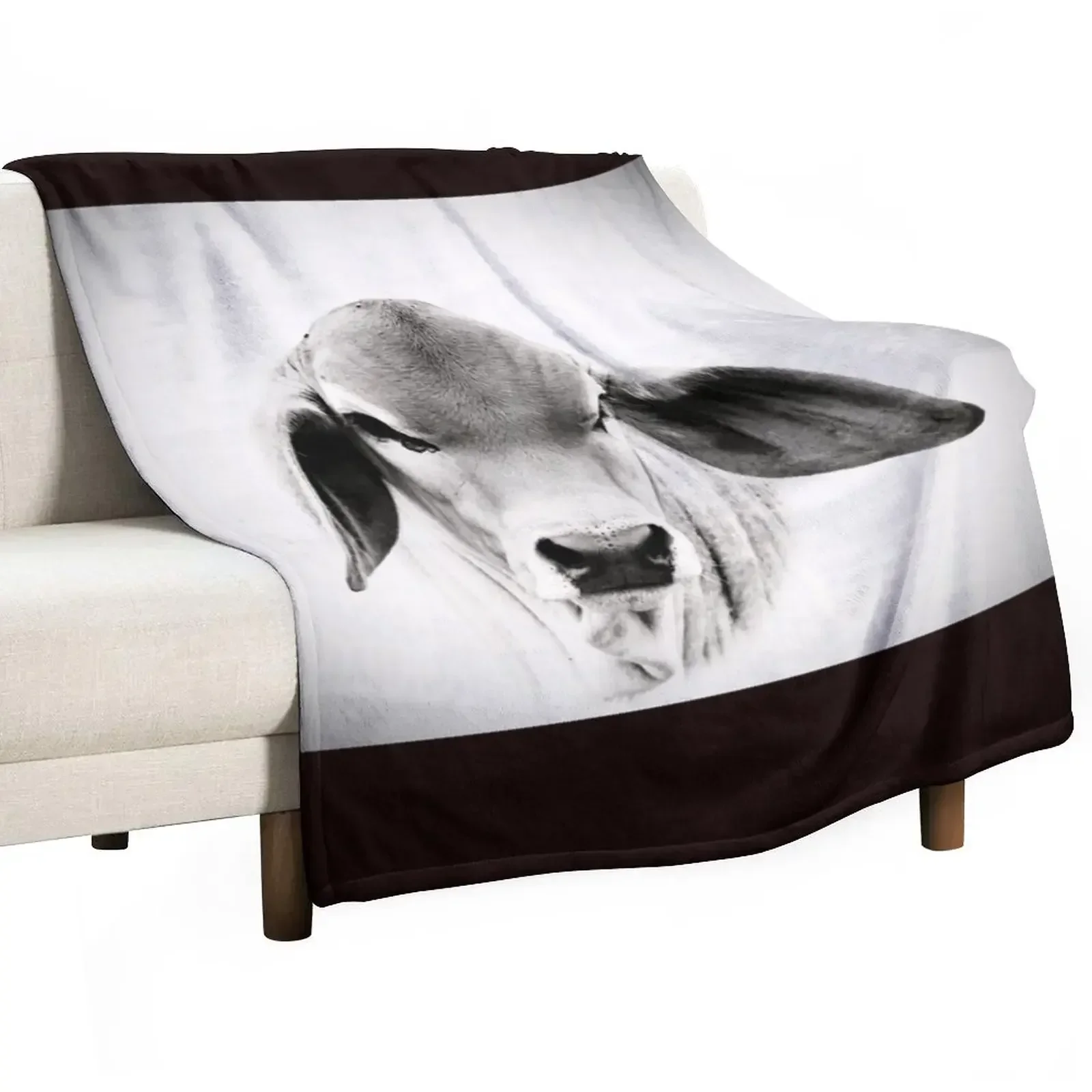 BRAHMAN CALF, PORTRAIT, WALL ART Throw Blanket Furrys Weighted Blankets Sofas Of Decoration Blankets