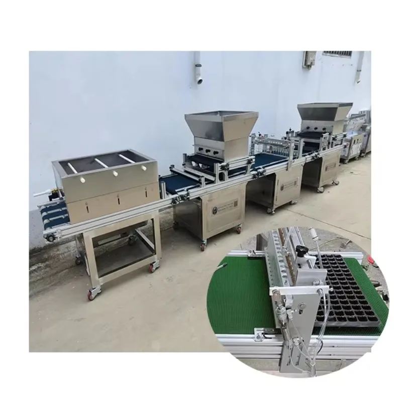 Automatic Seedling Tray Machine Vegetable Tray Seeder Machine For Lettuce Peppers Romaine Seeding