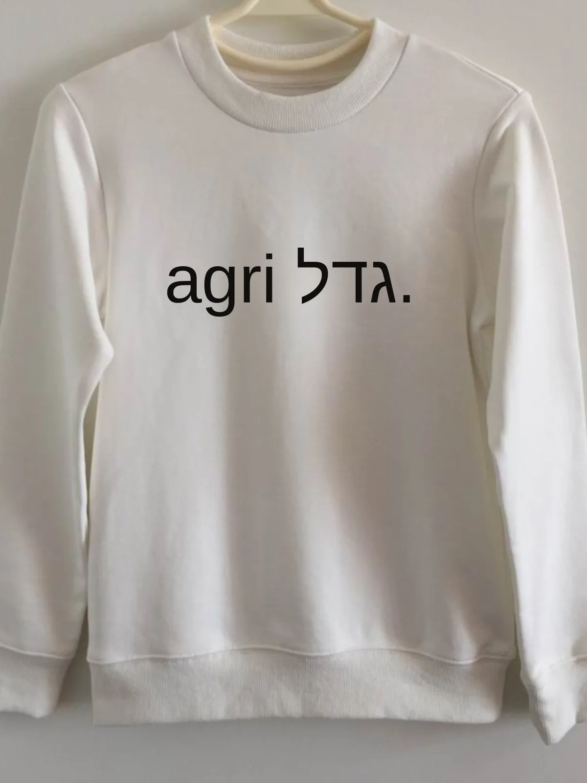 Spring Autumn Men's Crew Neck Sweatshirt Pure Cotton Thin Fleece Letter Print Casual Outerwear Long Sleeve round Neck Top