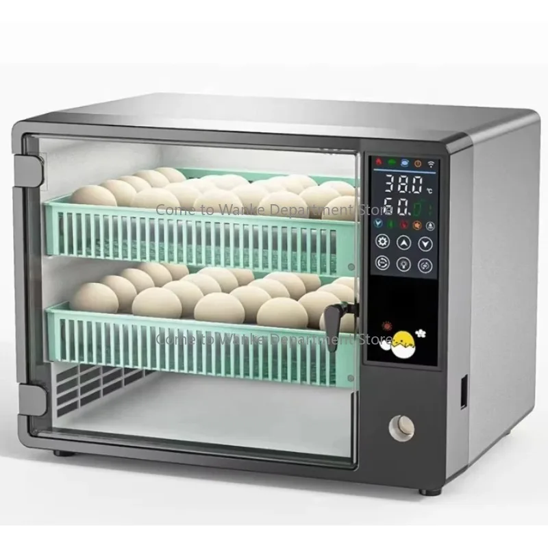 Egg Incubator with Dual Power Supply 50 Slots Fully Automatic Intelligent Humidity Control Small 220V/12V with Automatic Flip