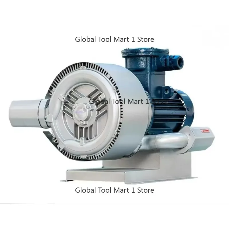

AT-EX-Certified Biog-as Ga-s Blowers and Compressors