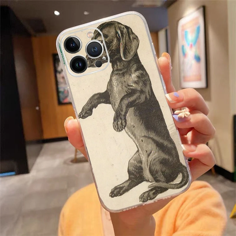 

Phone Case For iphone 17ProMax Air 16 15 14 13 Pro Max 15 16 Pro 15Plus Dachshund Dog