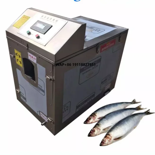 High Quality  Automatic Fish Cleaning Machine/fish Killing Scaling Machine/fish Filleting Washing Machine with Low Price
