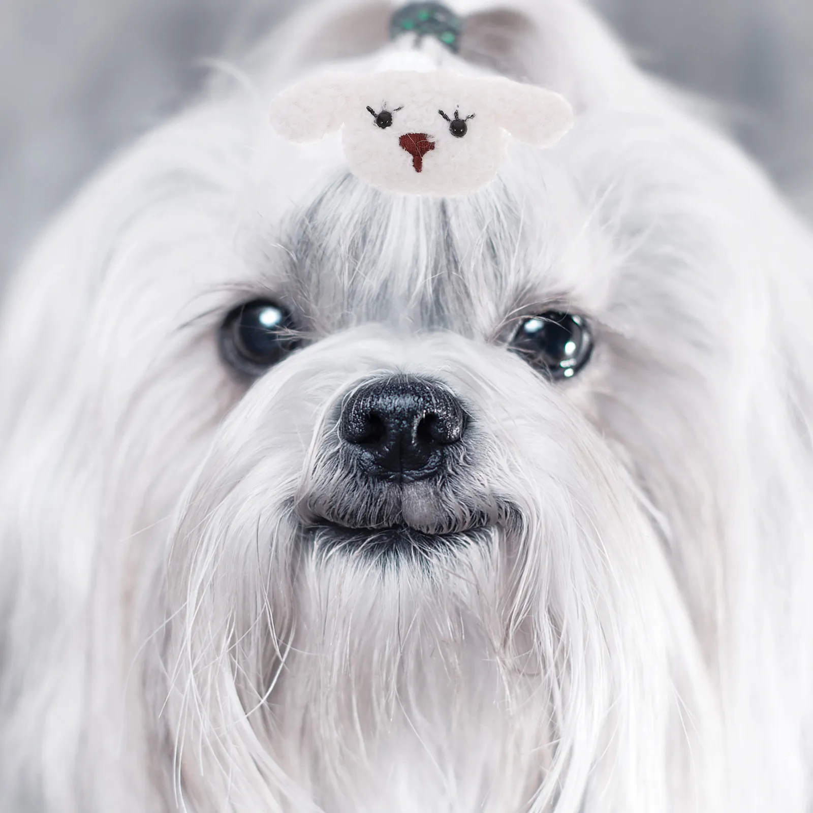 4Pcs Pet Hair Tie D…