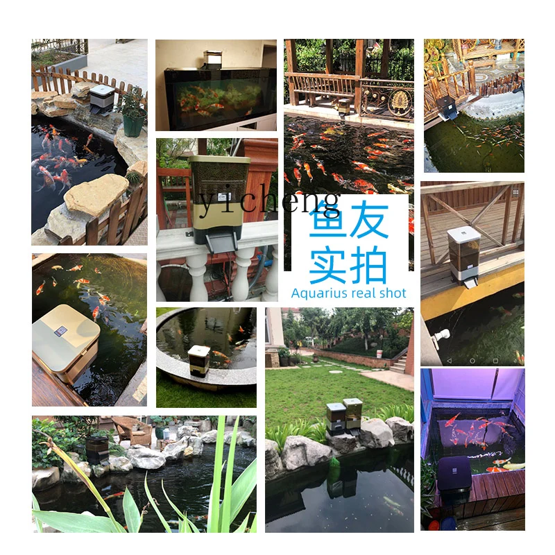 Automatyczny karmnik solarny TQH dla ryb, programowany karmnik, inteligentny karmnik o dużej pojemności dla ryb Koi, zewnętrzny, odporny na karmę, myszy i owady.