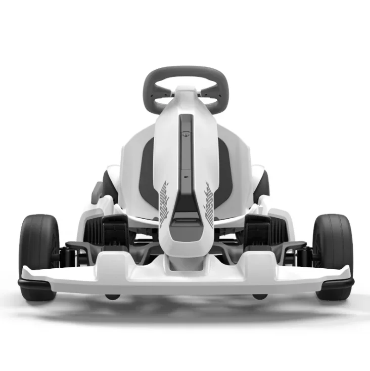 

FOR 2400w E Gokart Ride On Electric Car Adults Go Kart Go-kart Off Road Racing Karting Go Karts