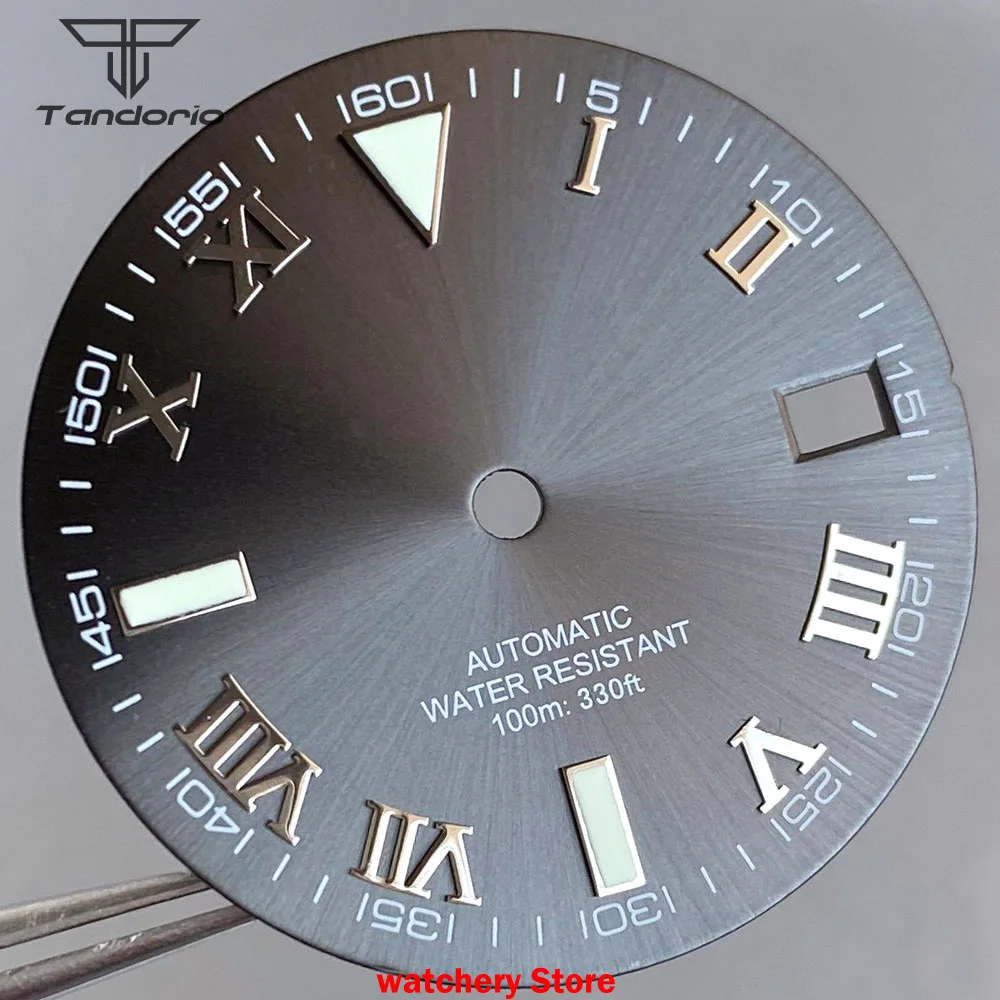 Tandorio 29mm Gray Roman Sunburst Watch Dial Face Hands Set For Japan NH35A NH36 NH38 Movement For Datejust Watch Parts