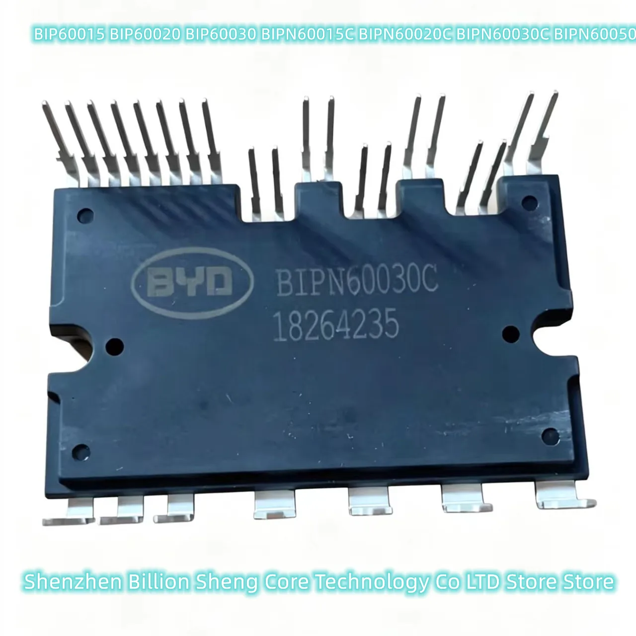 BIP60015 BIP60020 BIP60030 BIPN60015C BIPN60020C BIPN60030C BIPN60050C