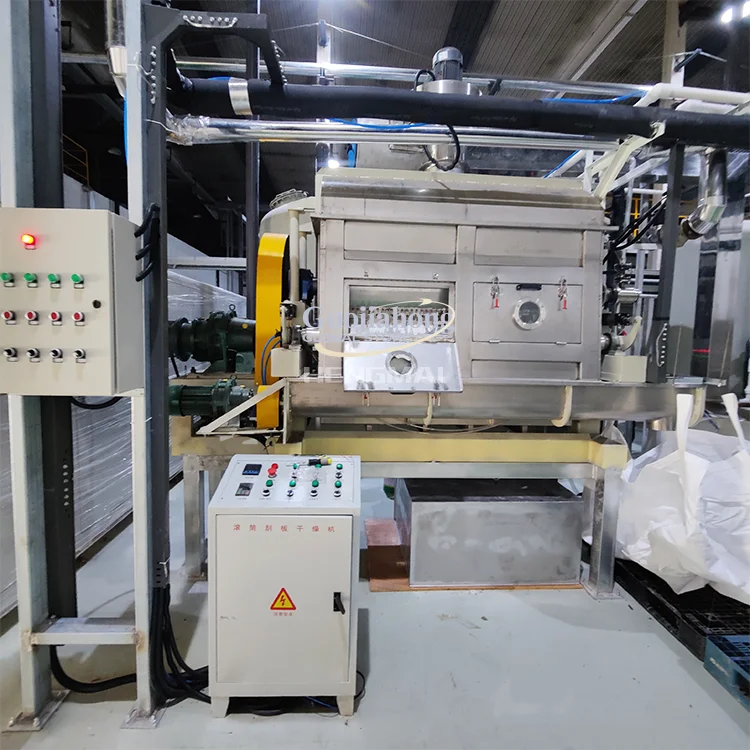 カスタマイズ可能なドラムスクレーパードライヤー、化学スラリー/粘性材料用の特殊乾燥装置