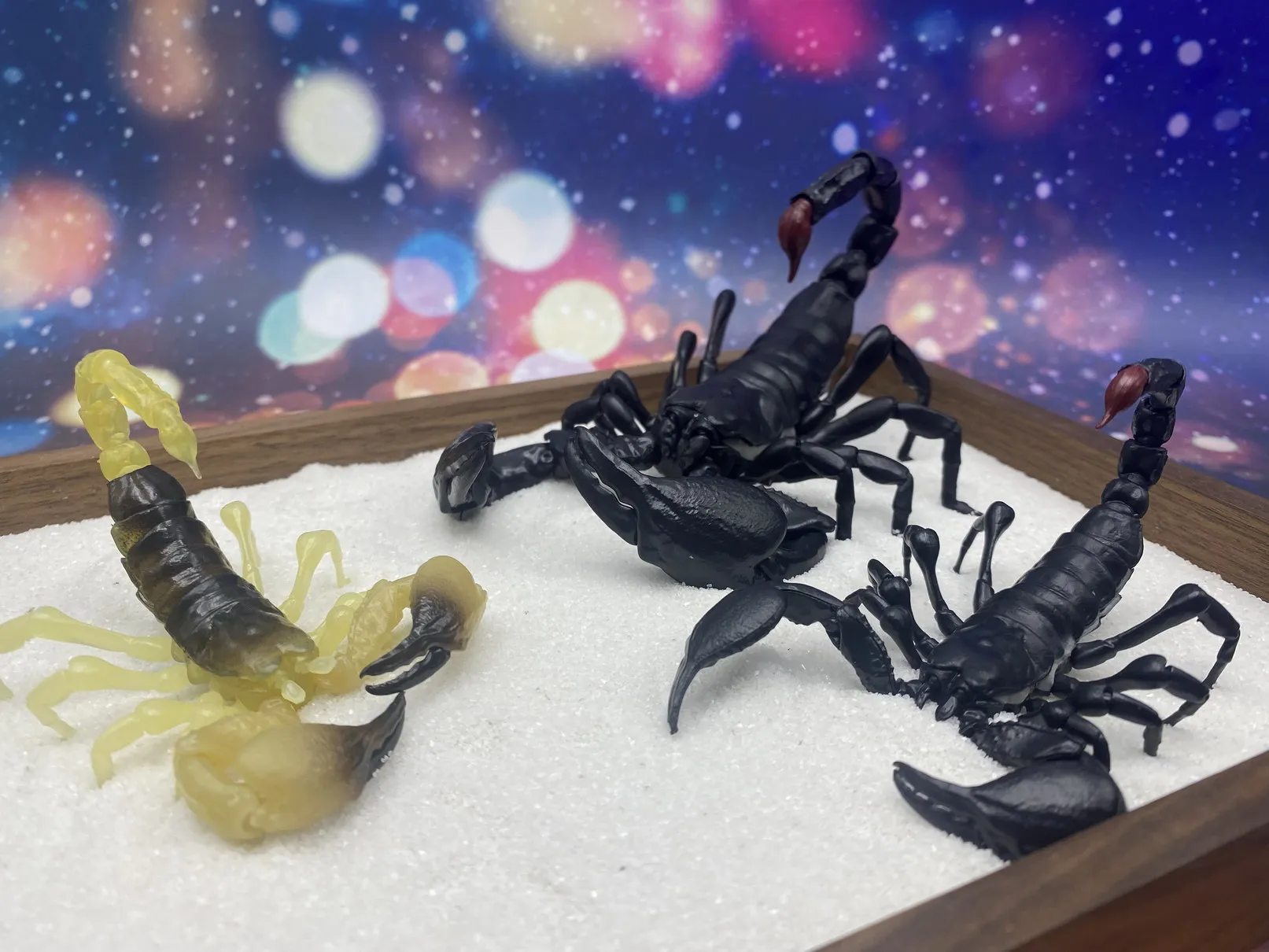 Genuine Bandai Biological Big Picture Book Movable Scorpion Emperor Scorpion Animal Model Ornament Twist Egg FIGURE