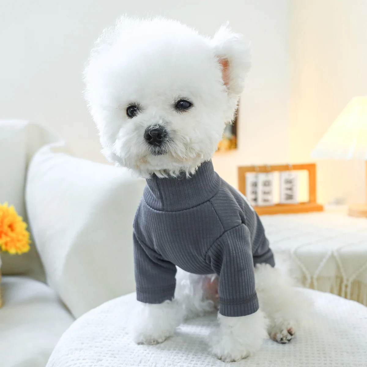 1PC Pet Clothing Spring and Autumn Pullover Elastic Dark Grey Little White Bear Bottom Shirt Suitable for Small and Medium Dogs