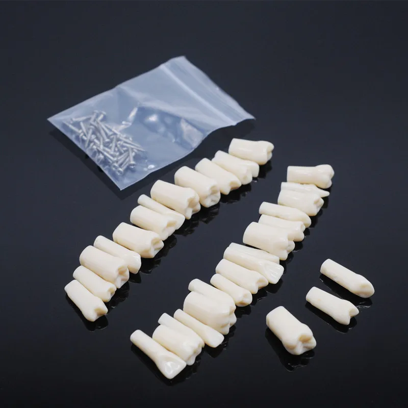 

32 шт., модель зубных зубов для подготовки к практике зубного техника, съемный зуб, совместимый с модельми обучения стоматологии Nissin