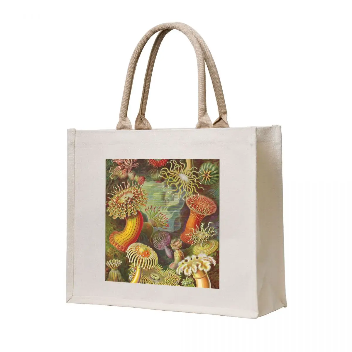

Sea anemone - Ernst Haeckel Tote Bag shopper bags for women shopping bags foldable Portable shopping bag Gift bag