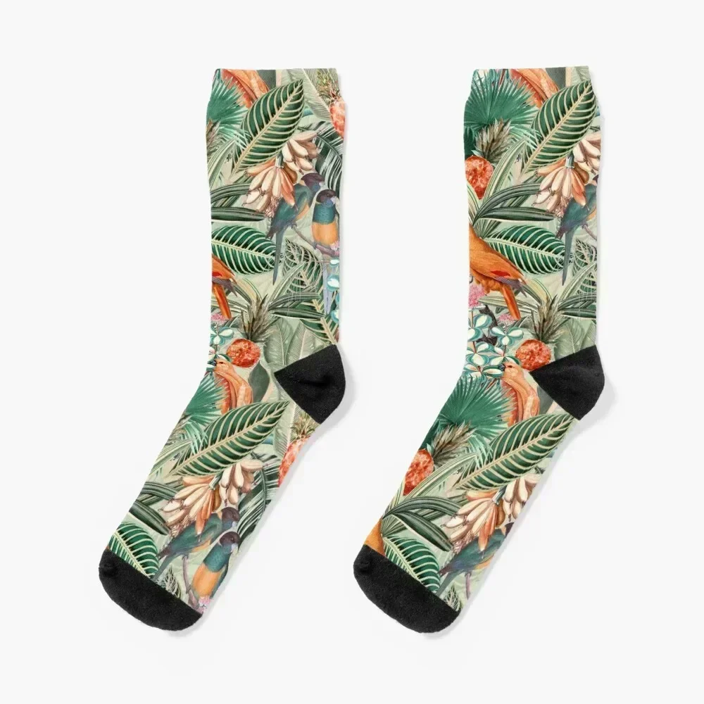 

Vintage Orange Tropical Bird Jungle Garden Socks cute bright garter New year's Run Women Socks Men's