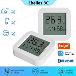 Tuya Smart Home Temperatur Feuchtigkeit Sensor Mini LCD Digital Display Smart Leben APP Stimme Steuer Arbeit Mit BLE Hub Alexa google