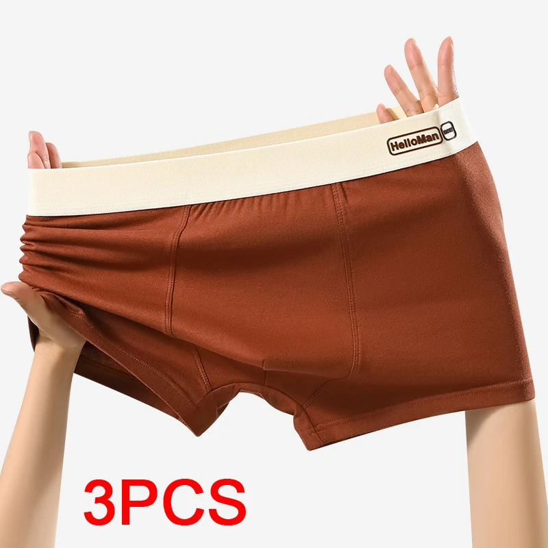 Cotton Man Boxer Sports Shorts Men Boxers and Underpants Gifts for Men Underwear Boxer Male Men's Panties Set Briefs Short Pants