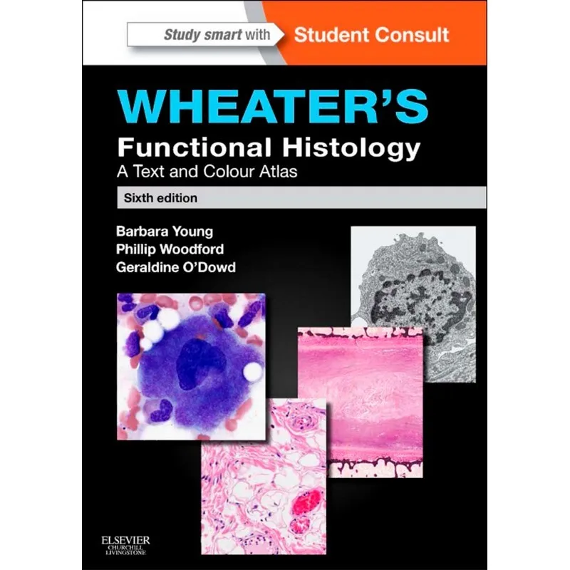 Wheaters Functional Histology A Text And Colour Atlas