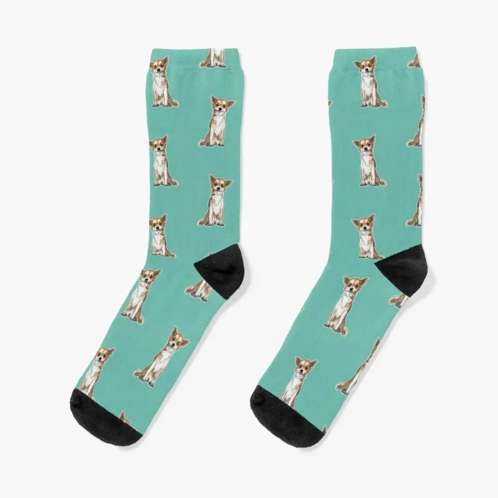 Long hair chihuahua Socks kids designer brand colored luxe Socks Men Women's