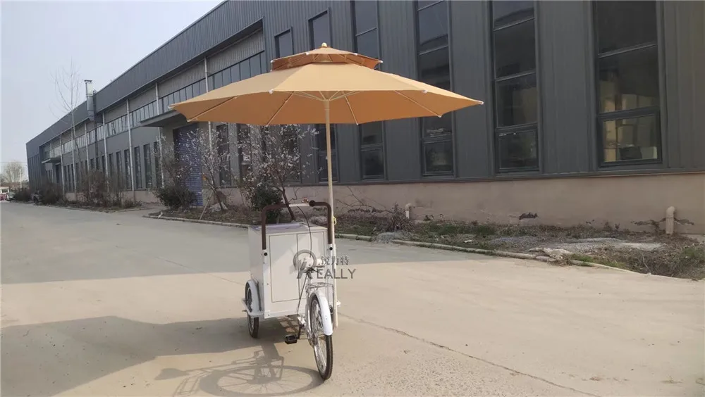 OEM Street Ice Cream Vending Food Trcycle with Freezer Snack Breakfast Coffee Bike Electric Food Delivery Bicycle Cart for Sale