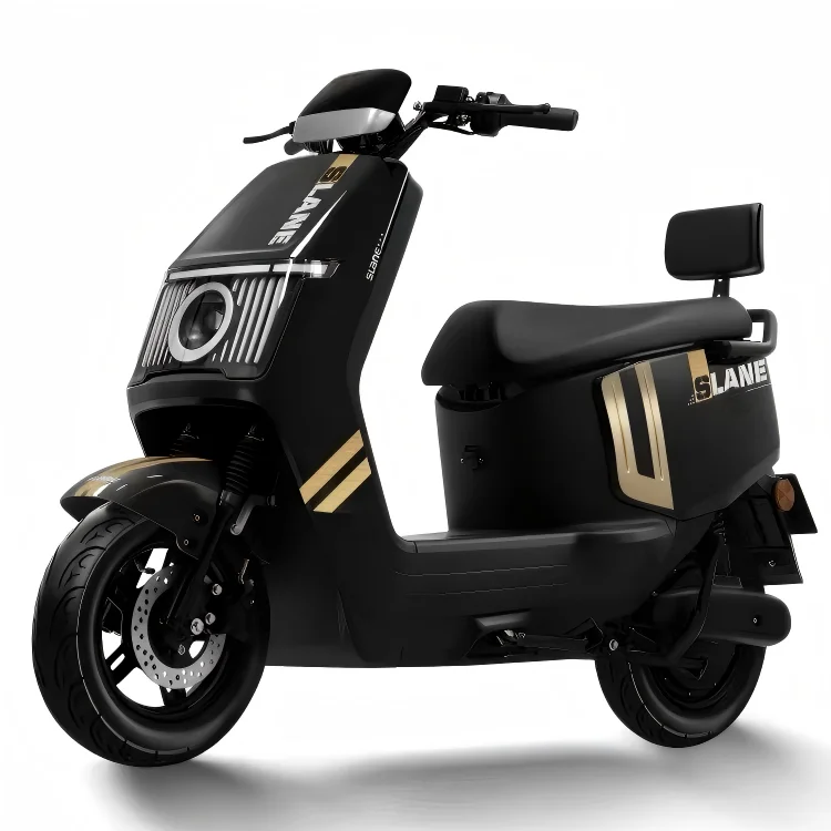 Family Daily Transportation Electric Motorcycle for Short Distance Travel 1200W Motor 48V-72V Battery 200kg Load Easy Hill