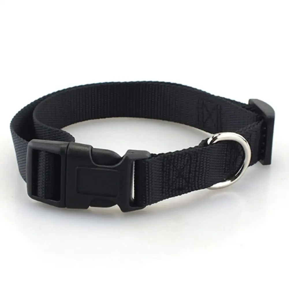 Collar de nailon para perro, cinturón para perros grandes, medianos y pequeños, productos de seguridad, suministros para mascotas, Bulldog francés, Pug, Pitbull, Chihuahua
