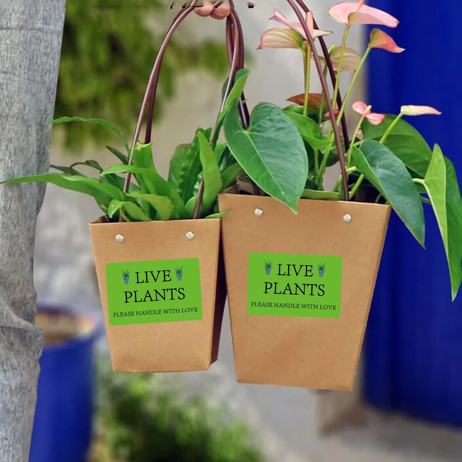 300 adesivi verdi per piante vive da 2x3 pollici. Si prega di maneggiare con amore. Etichette di spedizione di ringraziamento fragili per centro giardino