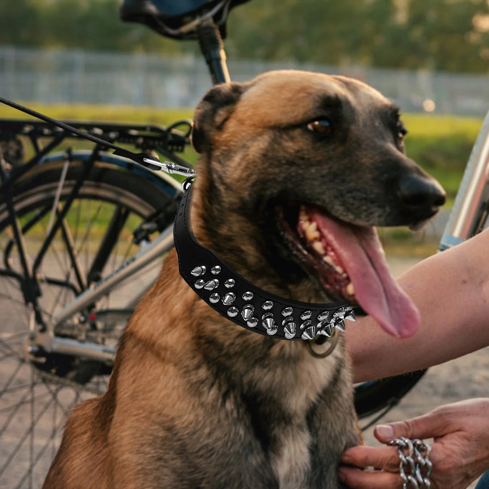 

Adjustable Dog Collar Black Studded Neck Chain Decorative Girl Pet Collars Spiked Rivet Necklace Cat Dog spiked unique puppy