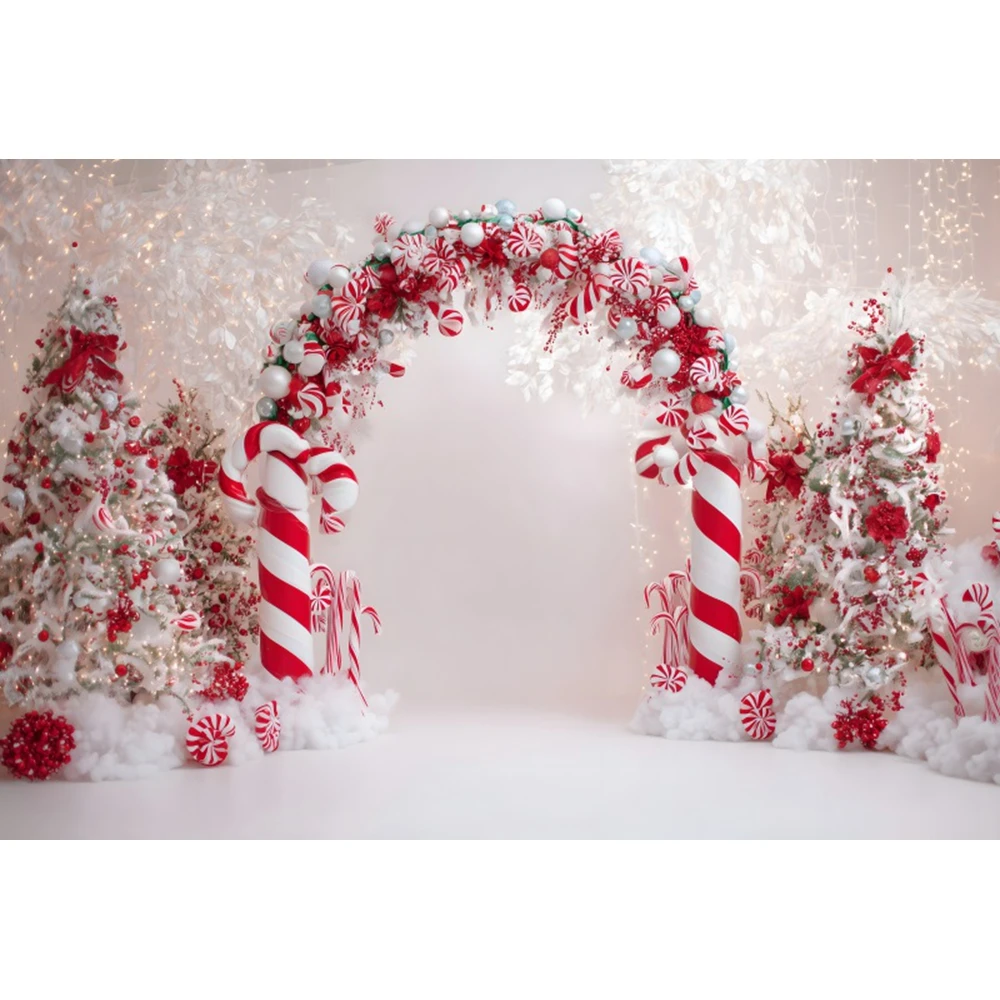 Winter Christmas Backdrop for Photography Arch Wreath Holly Leaves Candy Cane Xmas Kids Portrait Photo Background Photo Studio