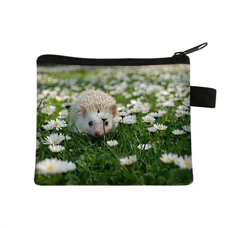 Модная-сумка-для-монет-с-милым-принтом-ежика-короткий-мини-кошелек-женские-сумки-для-карт-детские-женские-кошельки-сумка-для-хранения-покупок-портативная-сумка-для-ключей