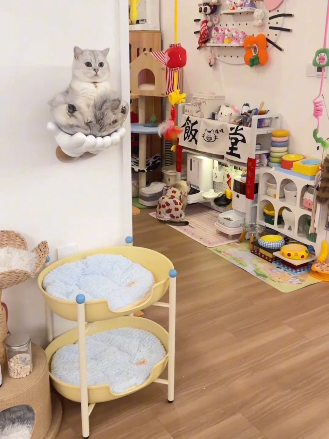 magnetic-dual-layer-scratching-board-wear-resistant-wood-integrated-bed-for-cats-indoor-all-season-use