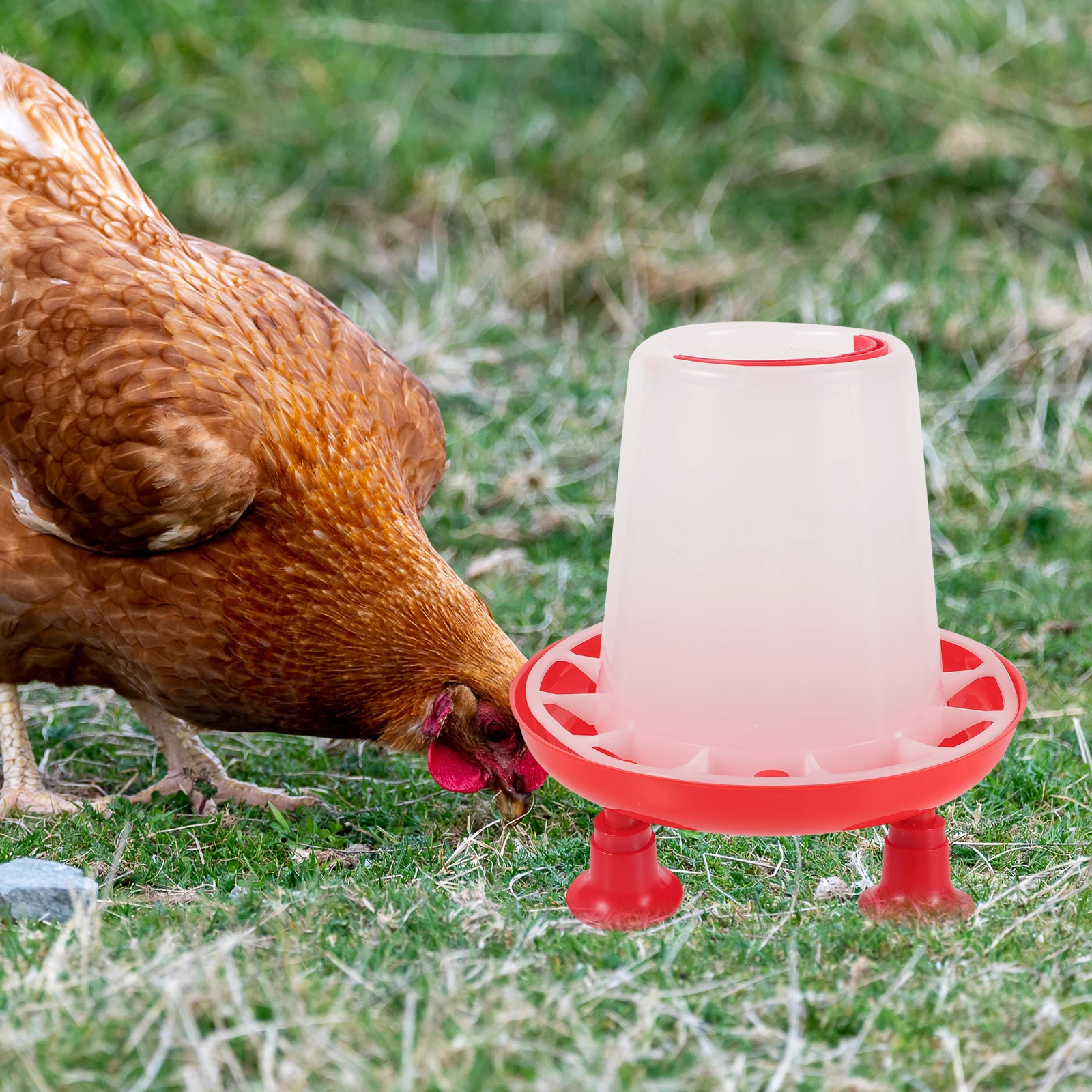 

Chicken Trough 1.5KG Plastic Feeder Basin Chick Duck Pigeon Goose Feeders Reusable Hanging Cage Design Poultry Supplies