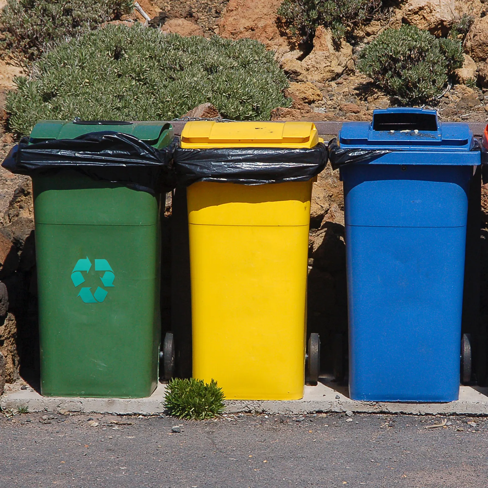 

4Pcs Eco Friendly Recycle Symbol Stickers Green High Visibility Labels for Waste Sorting Bins Canisters Doors Windows Walls