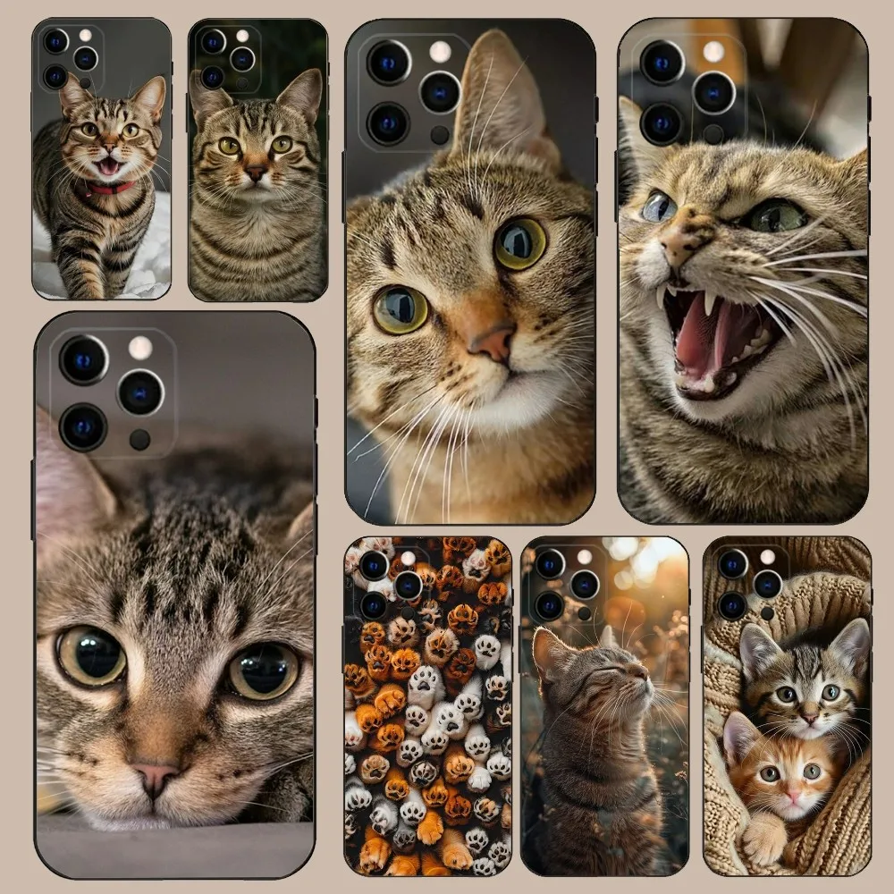 Tabby Cat Cute Paw Phone Case For iPhone 16,15,14,13,12,11,Pro,X,XS,Max,XR,Plus,Mini Soft Black Cover