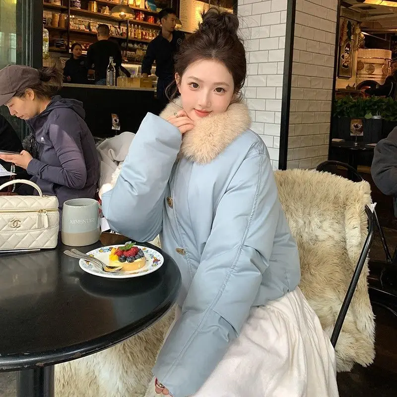 

Puffer Parkas Woman Winter Womens Mat Flat Level Even Smooth Plane Uniform Regular Consistent Homogeneous Monotonous Featureless