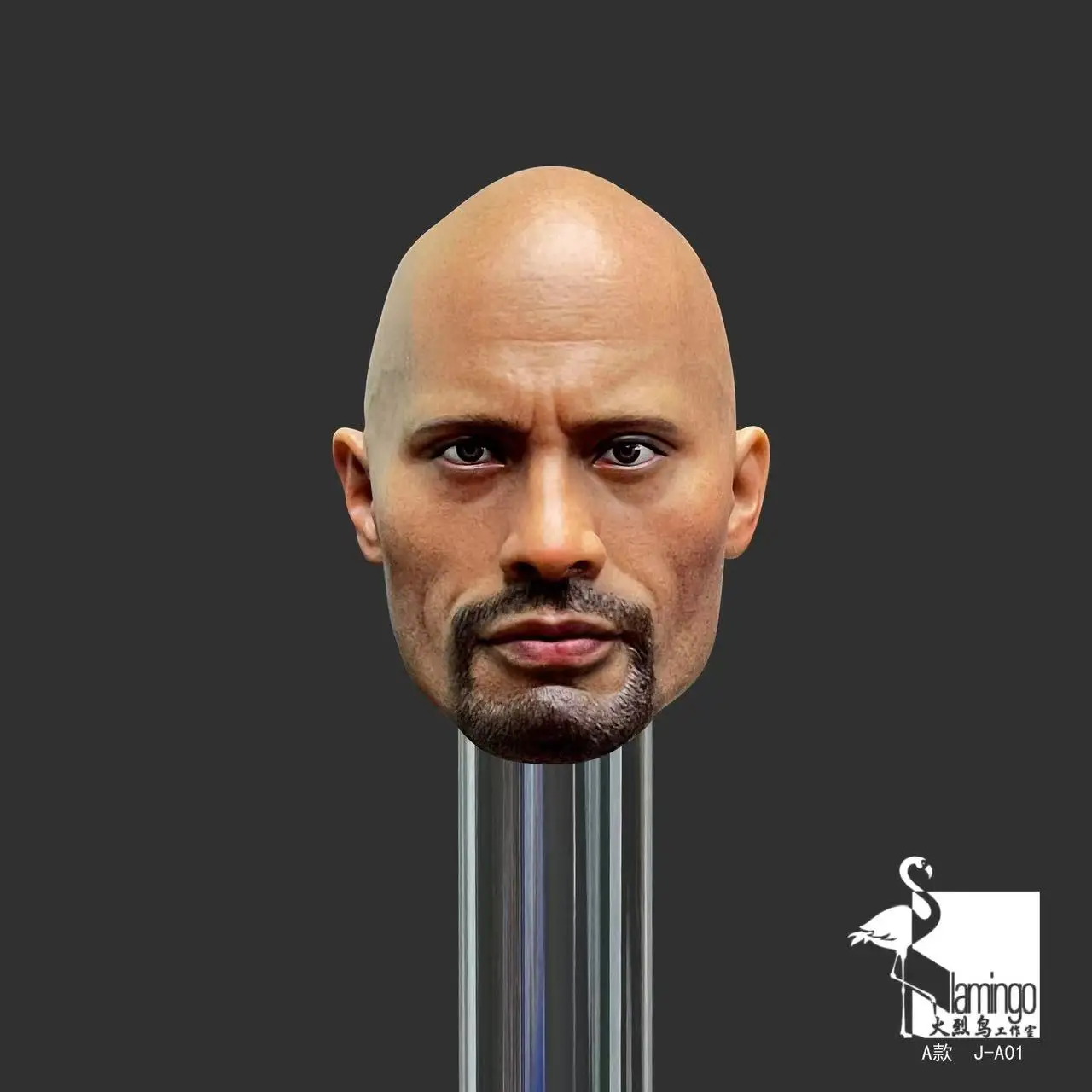 

Новинка 1/6, Мужская фигурка головы Dwayne Johnson, модель с двумя звездами, подходит для 12-дюймовой экшн-фигурки TBL PH Body Soldier