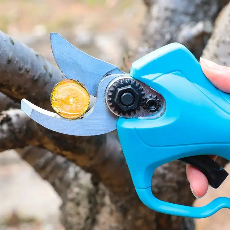 62Mm Brushless Rechargeable 16.8V Pruning Shears Cordless Telescopic Electric Pruner