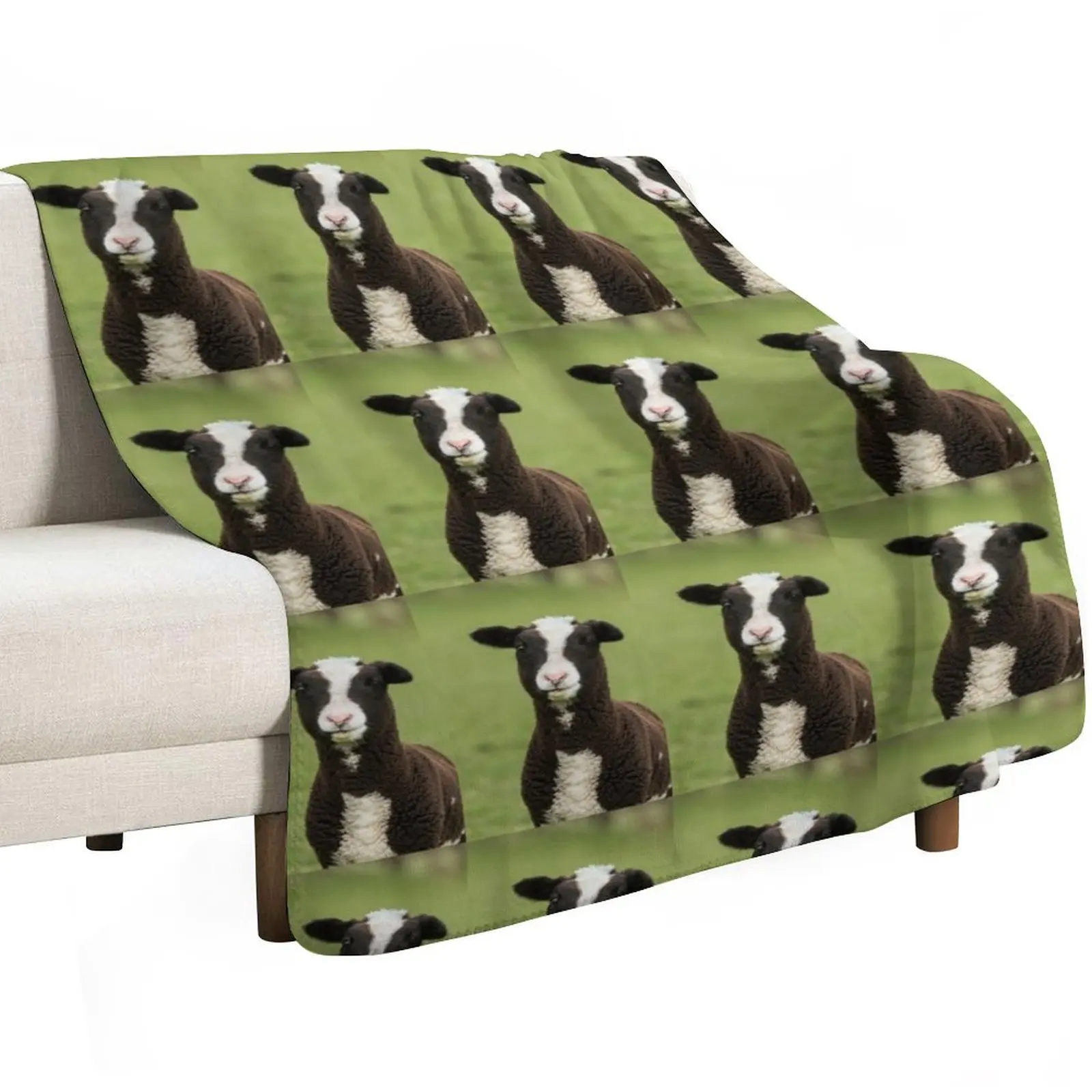 Zwartbles Lamb Throw Blanket sofa bed Fashion Sofas Bed Blankets For Baby valentine gift ideas blankets ands Blankets