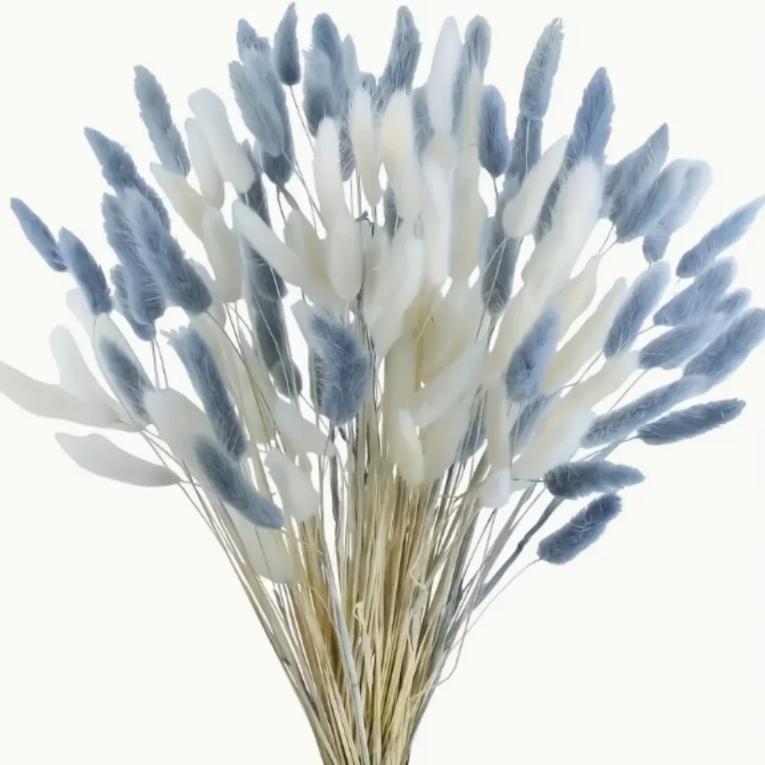 Set of 60 Artificial Rabbit Tail Grass Bouquets - Elegant white and blue bohemian grass decorations,  weddings and home decor
