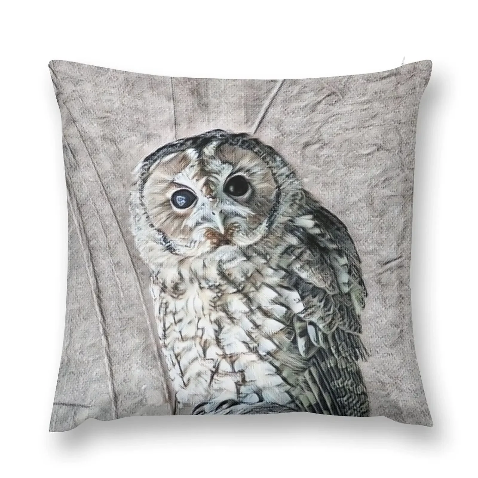 Tawny Owl Throw Pillow Christmas Pillowcase Couch Cushions christmas supplies pillow