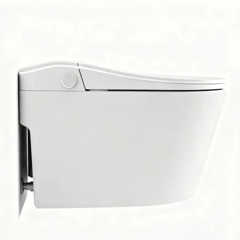 WC Intelligente Moderno in Ceramica con Scarico a Parete, Sedile Riscaldato, Telecomando e Wi-Fi per Bagno