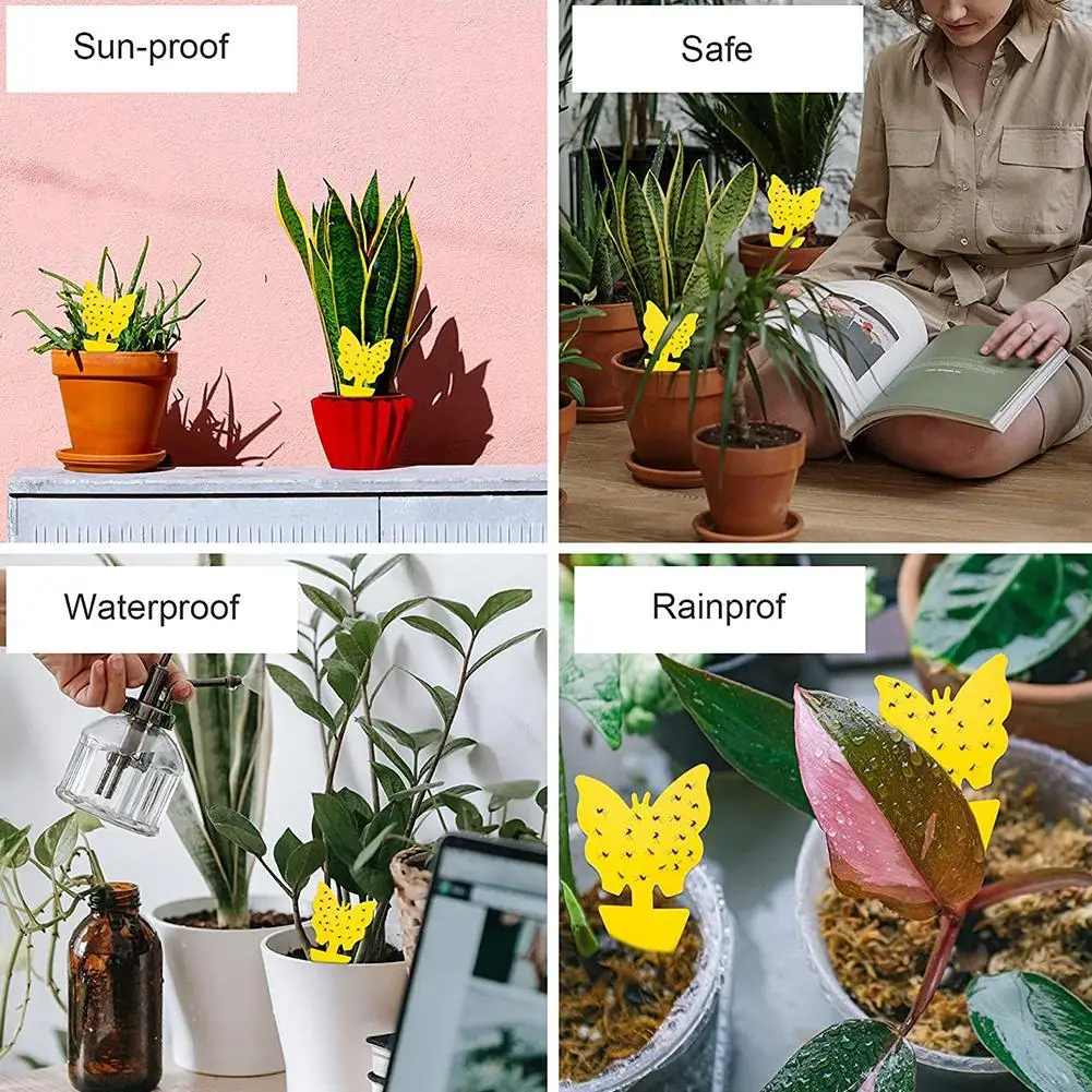 12-шт-липкие-ловушки-для-фруктовых-мух-ловушки-для-грибка-комаров-двухсторонние-нетоксичные-ловушки-для-липкой-доски-без-дор-для-садовых-растений-кухни-m6l0