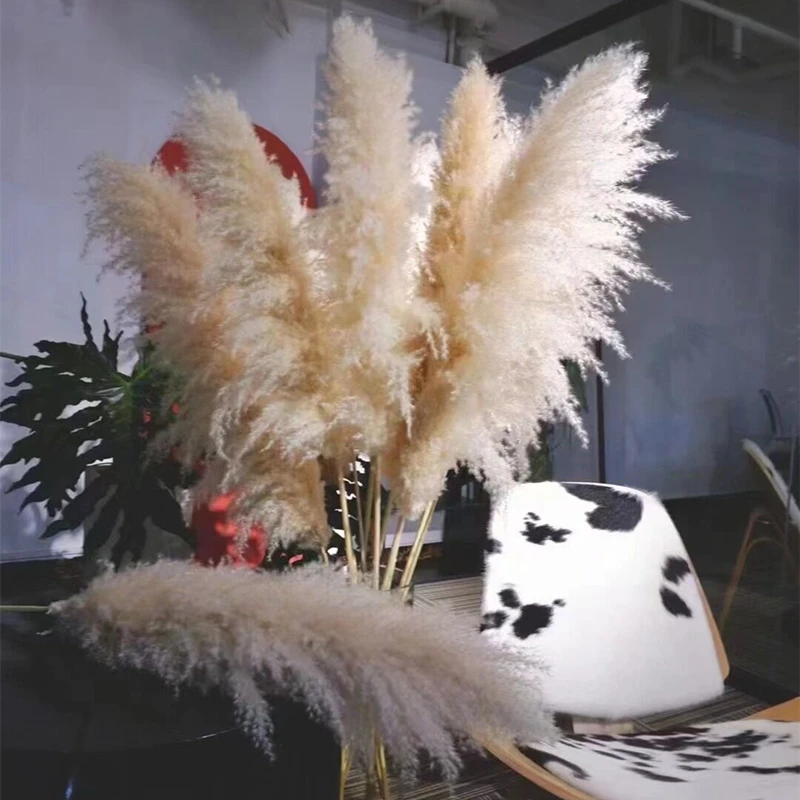 60-120Cm Pluizige Grote Pampas Gras Gedroogde Bloemen Tall Natuurlijke Driy Pampas Kerst Thuis Boho Decor Diy Bruiloft decoratie