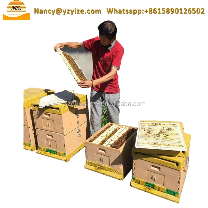 High quality new design easy clean bee hive plastic / plastic beehive box